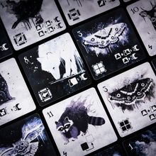 Lade das Bild in den Galerie-Viewer, Instinkt – Duell der Tiere